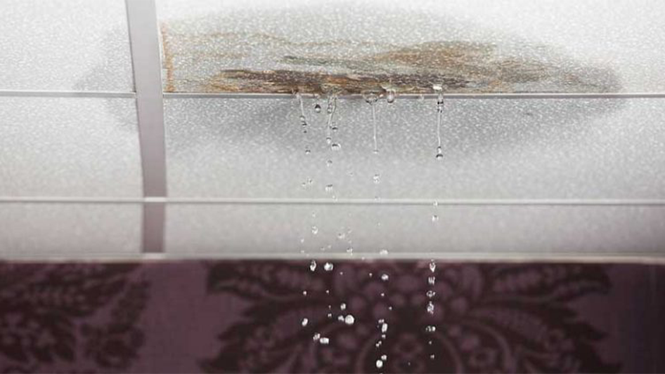 Avoid damage of walls from dampness