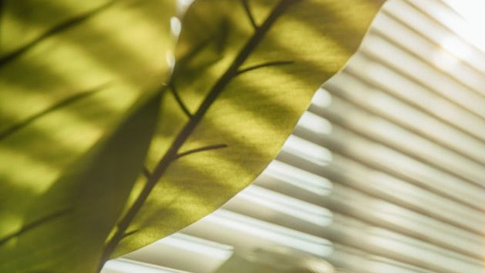 Climate change and your home